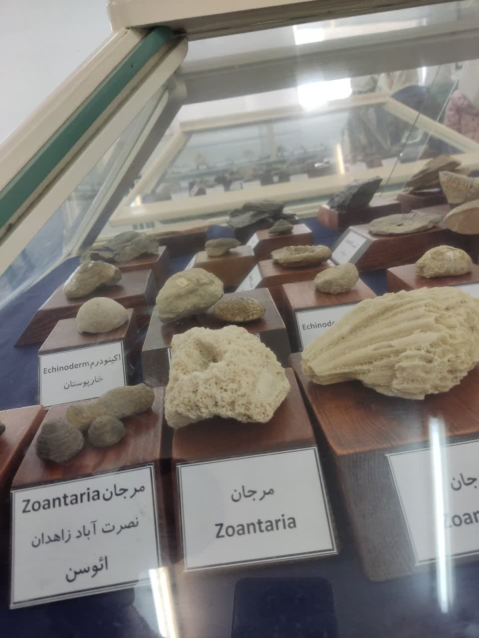 تصویر مقاله