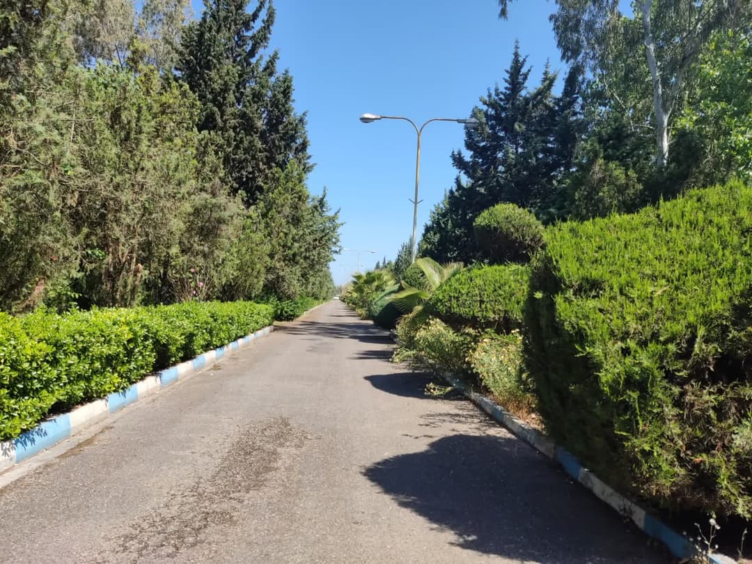 تصویر مقاله